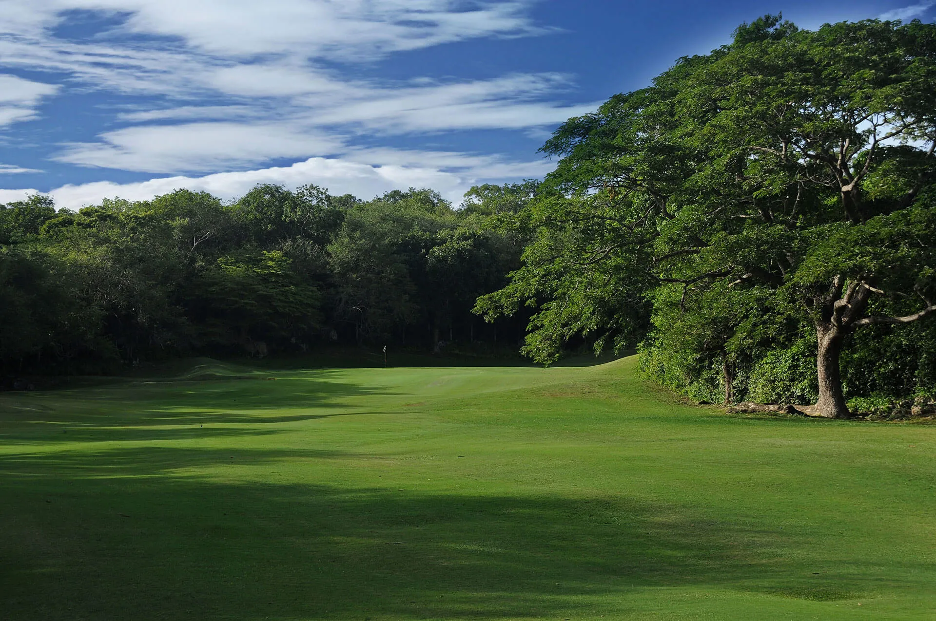 Green at hole 6