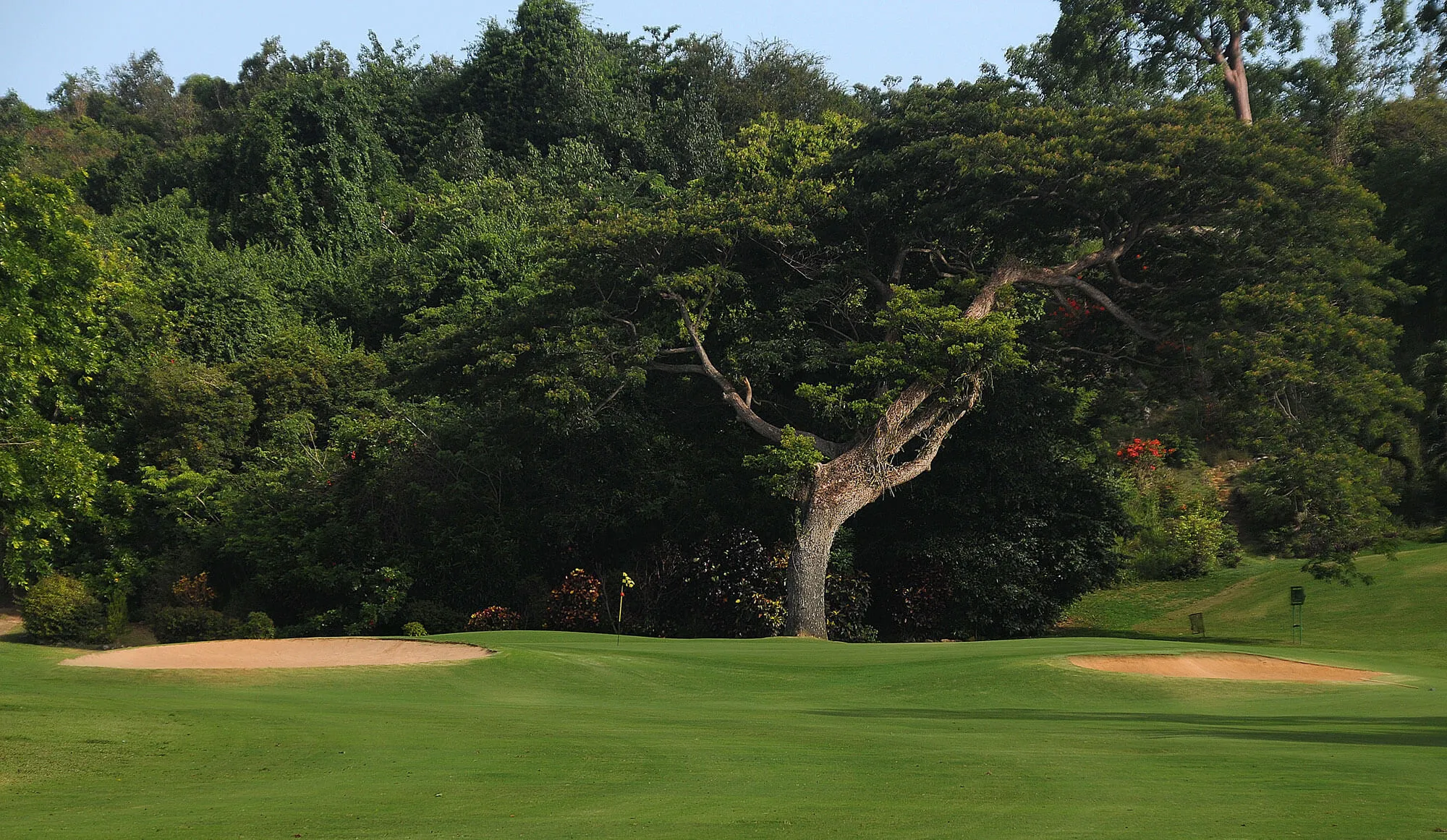 Hole 1 close-up