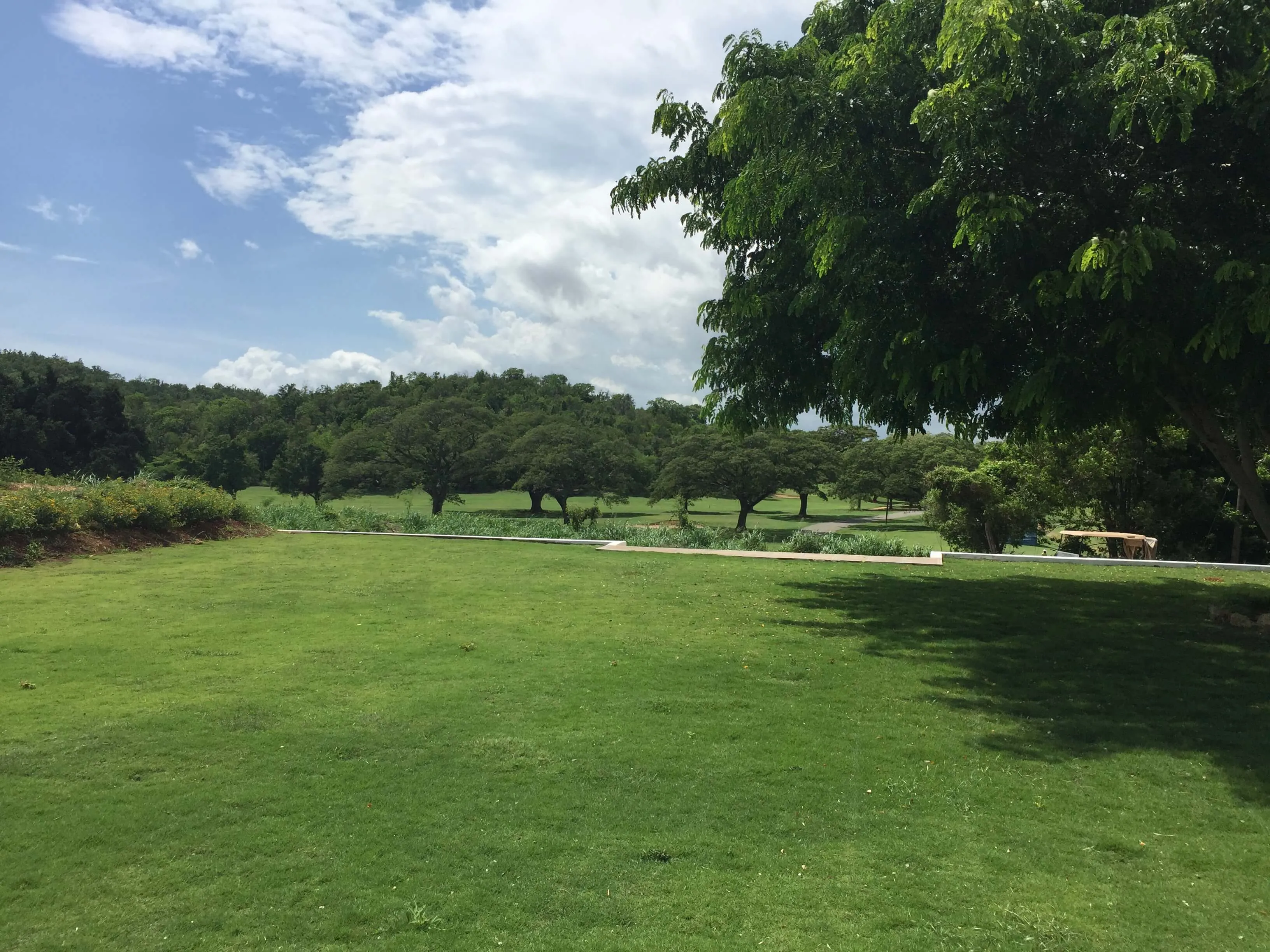 Lawn event space